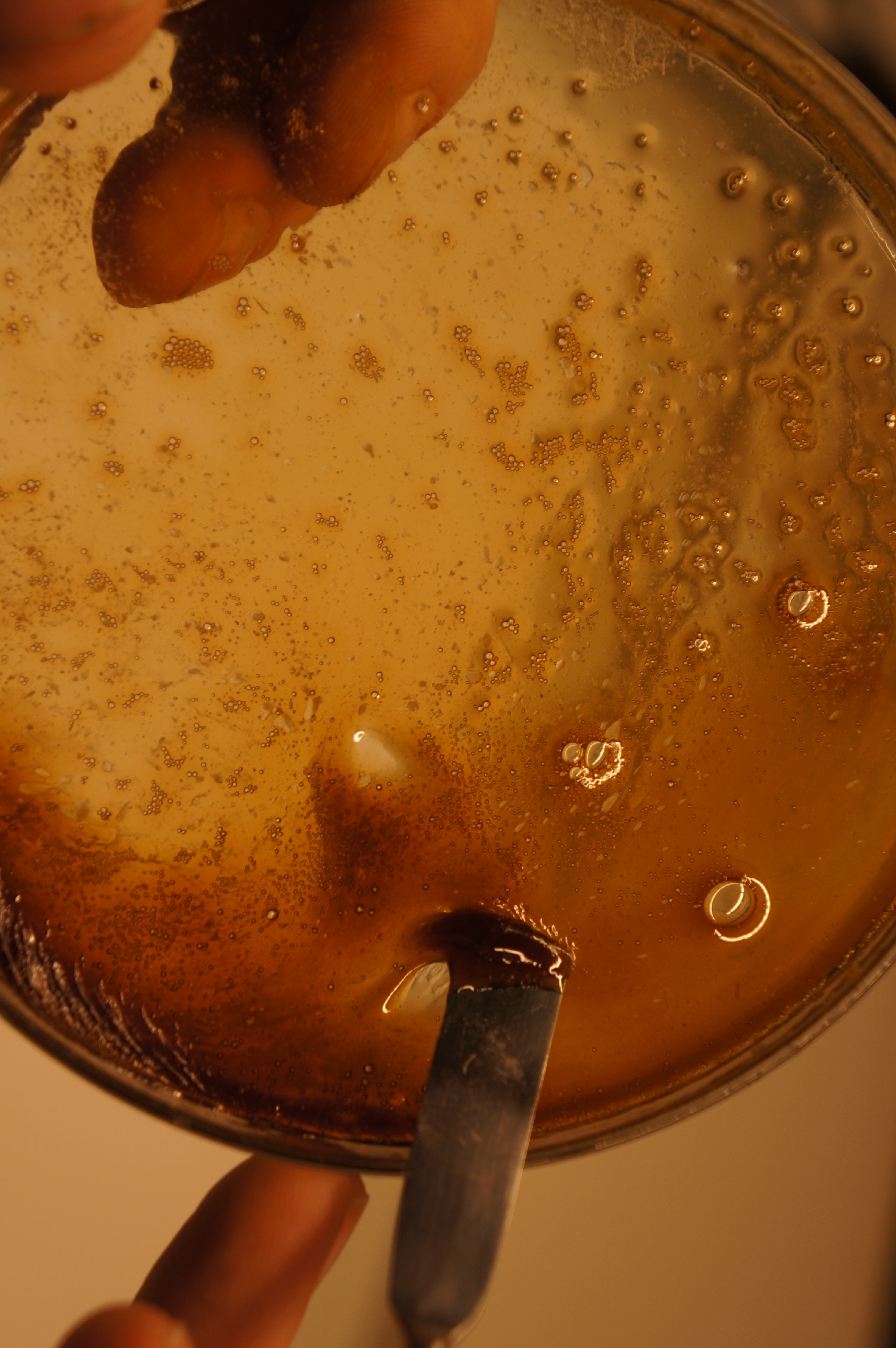 Extract